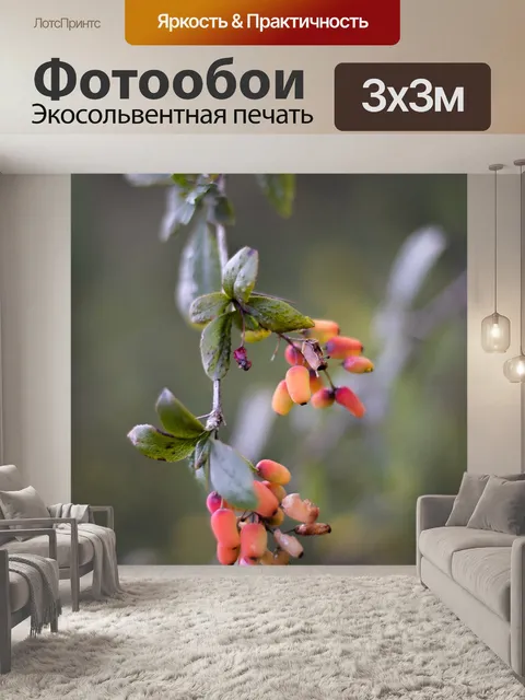 Фотообои Фрукты