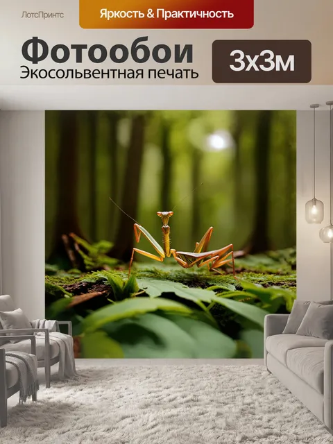 Фотообои в сердце густого леса