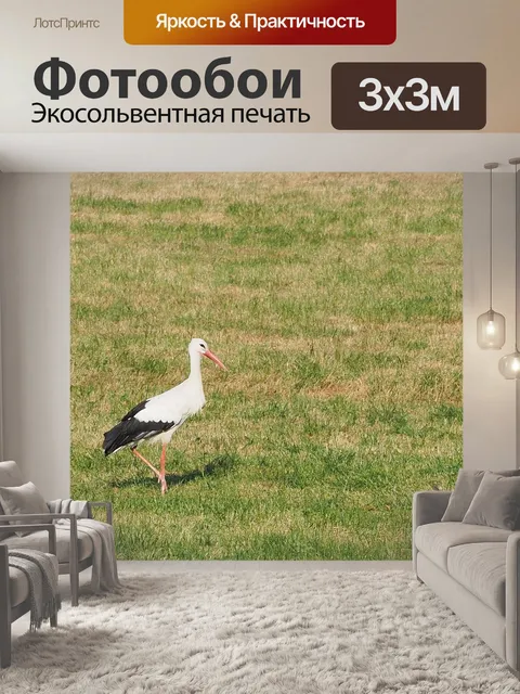 Фотообои Аист