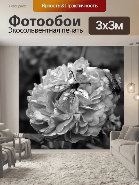 Фотообои Цветы