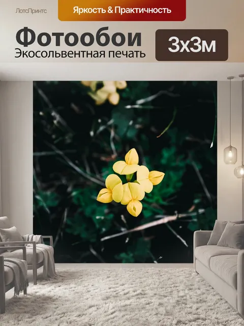 Фотообои Природа