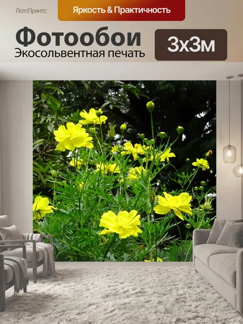 Фотообои Цветок