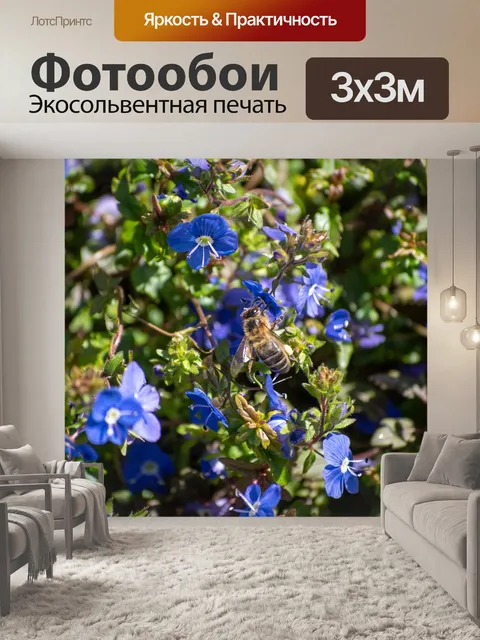 Фотообои Природа