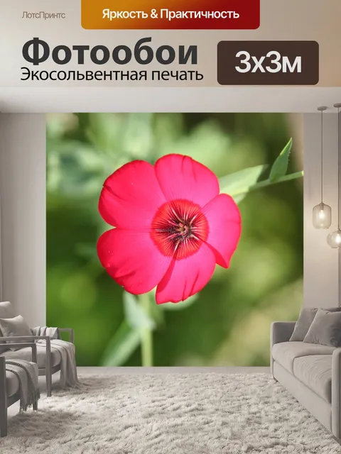 Фотообои Цветы