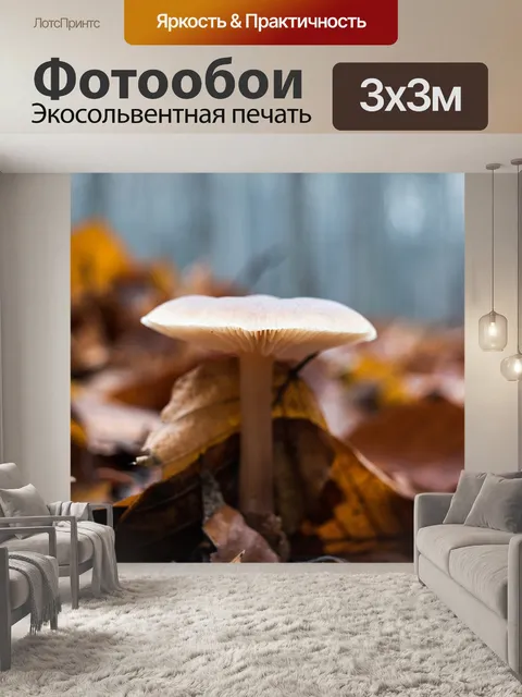 Фотообои Гриб
