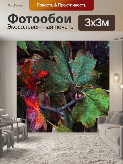 Фотообои Осенние листья