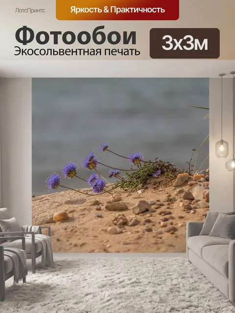 Фотообои Цветок