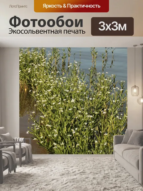 Фотообои Американская ива в озере