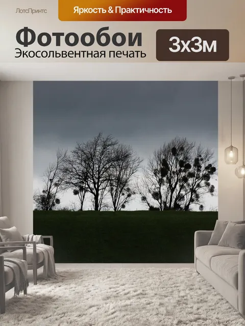 Фотообои Деревья