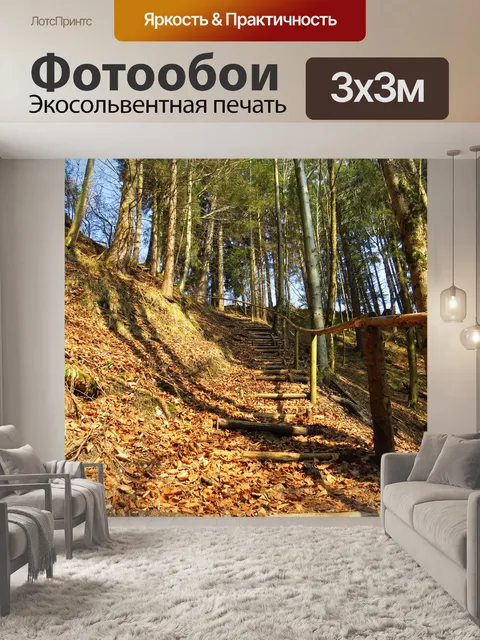 Фотообои Лесная тропа