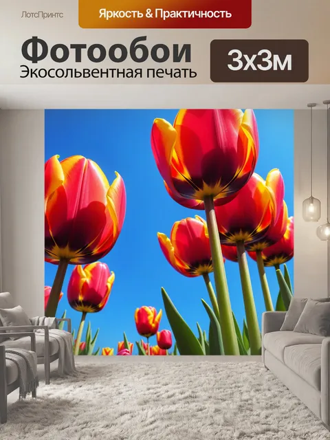 Фотообои яркие тюльпаны на фоне голубого неба