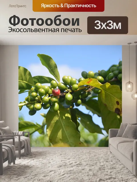 Фотообои Фрукты