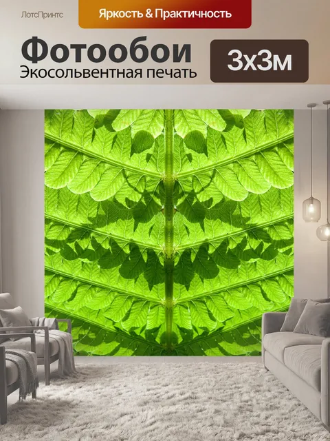 Фотообои Папоротник