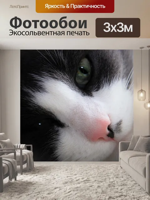 Фотообои Тихий