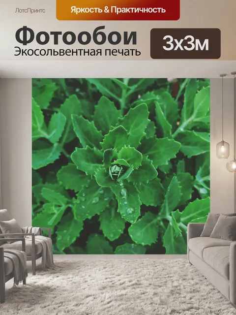 Фотообои Листья