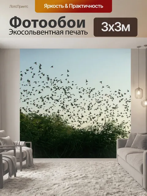 Фотообои Старлинг