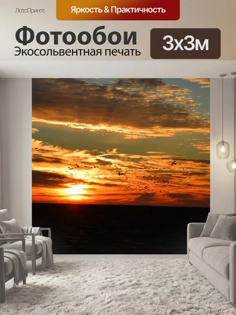Фотообои Большой баклан