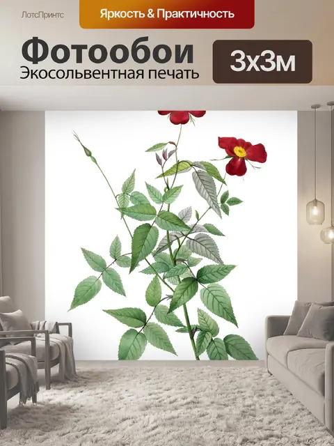 Фотообои Клипарт Rose flower vintage