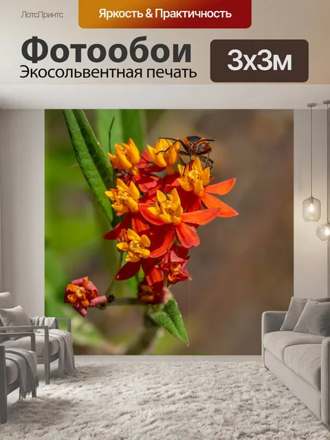Фотообои Цветы