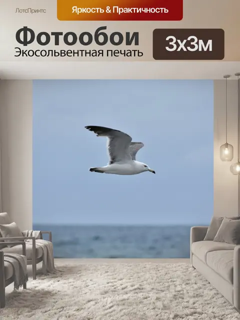 Фотообои Животное