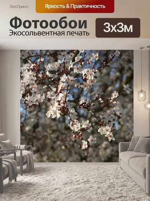 Фотообои Сакура