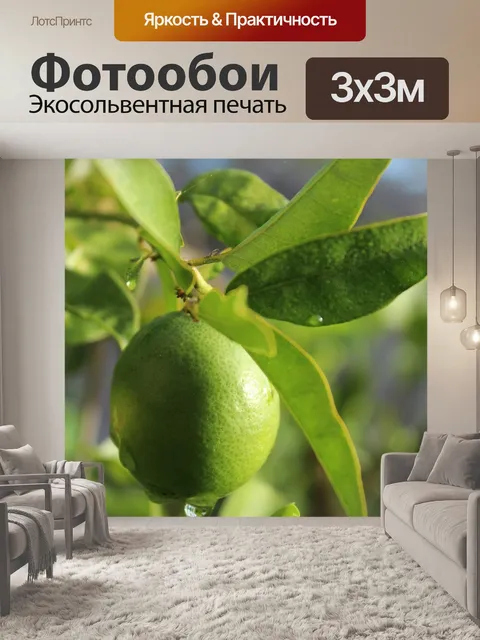 Фотообои Лайм