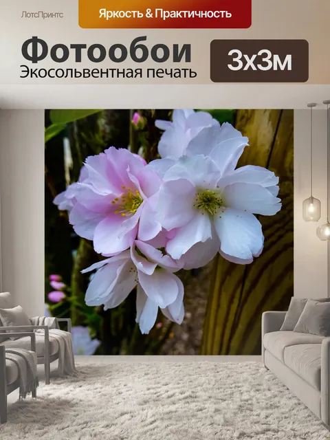 Фотообои Hdr