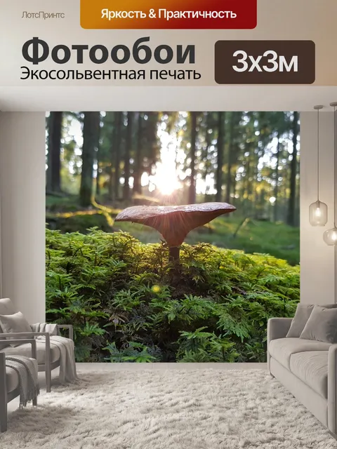Фотообои Гриб
