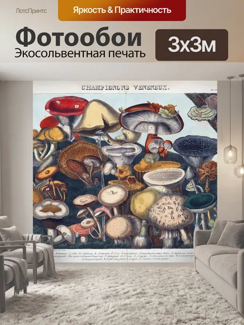Фотообои Винтажная иллюстрация чемпиона грибов