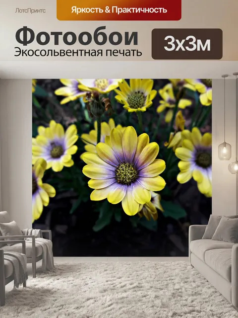 Фотообои Цветы