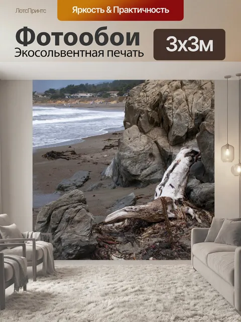 Фотообои Коряги у моря