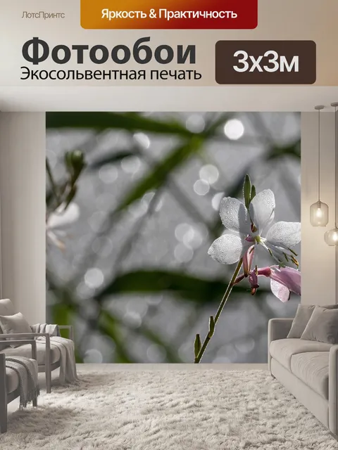 Фотообои Цветок