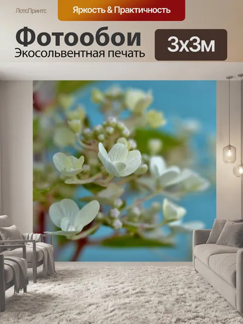 Фотообои Цветы