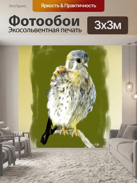 Фотообои Птица