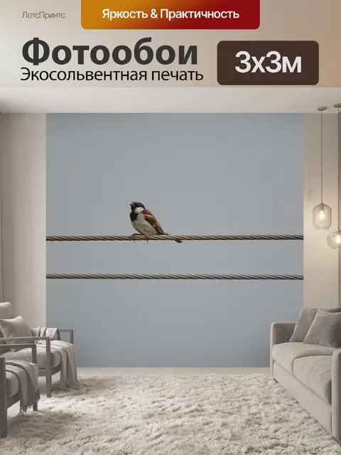 Фотообои Воробей