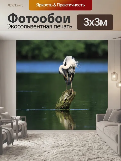Фотообои Цапля