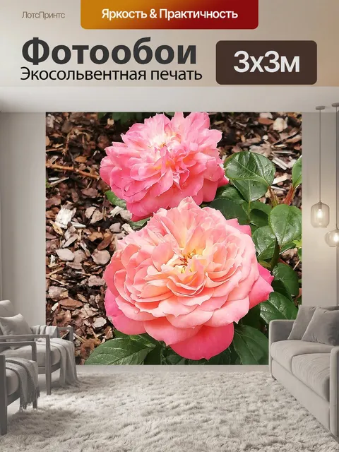 Фотообои Розы