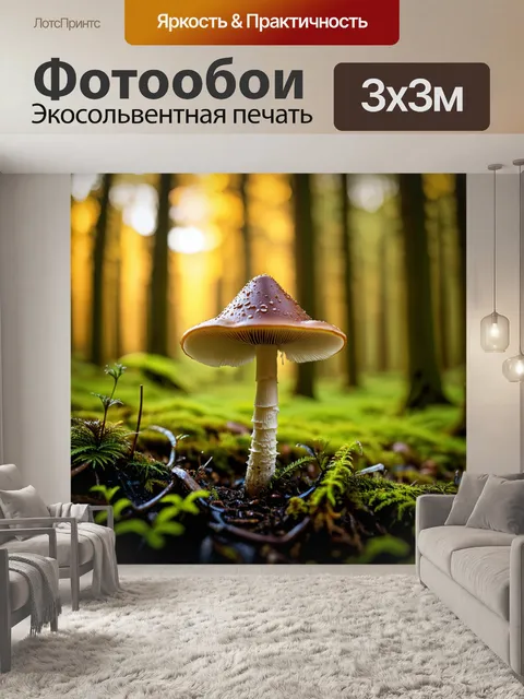 Фотообои гриб с конической лысиной