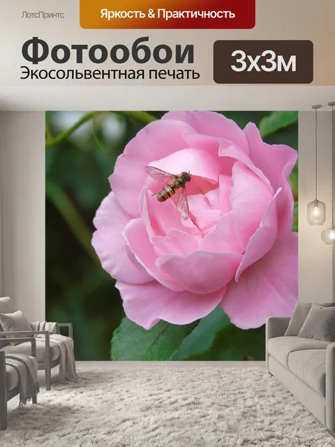 Фотообои Роза