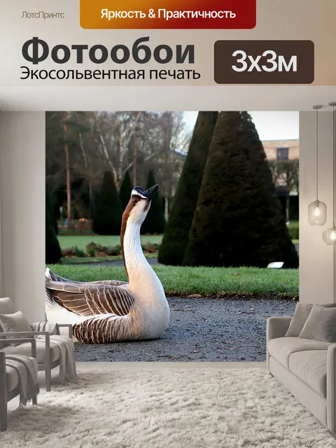 Фотообои Гусь