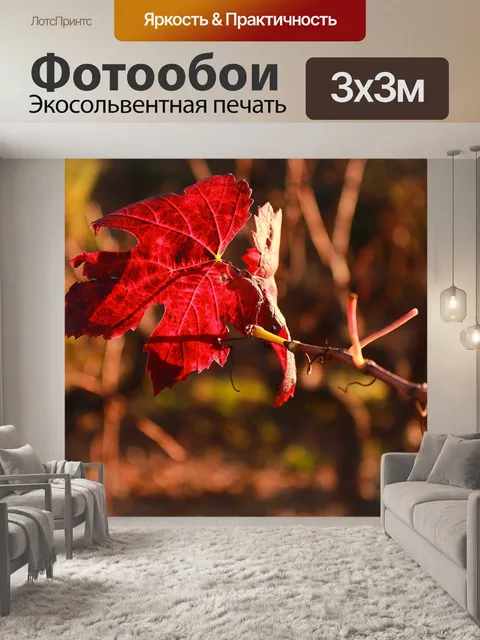 Фотообои Лист