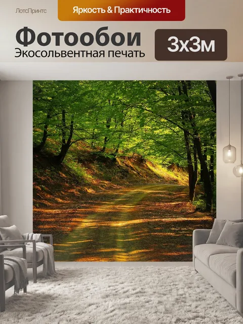 Фотообои Дорога