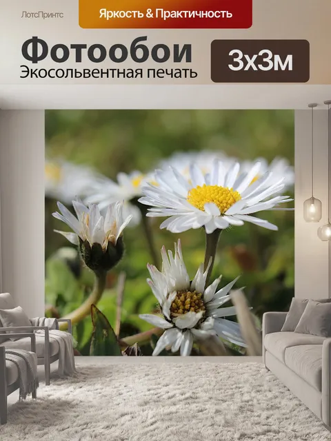 Фотообои Природа