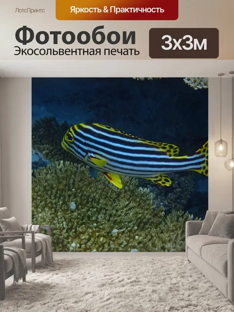Фотообои Мальдивы