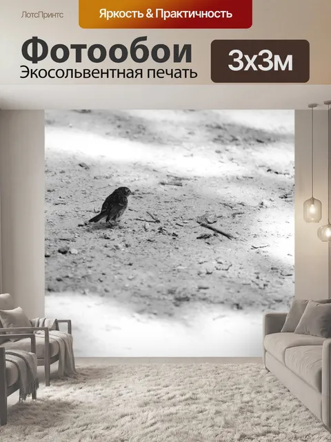 Фотообои Птица на земле