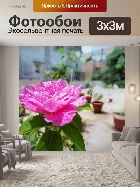 Фотообои Сад на крыше