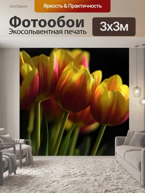 Фотообои Тюльпаны