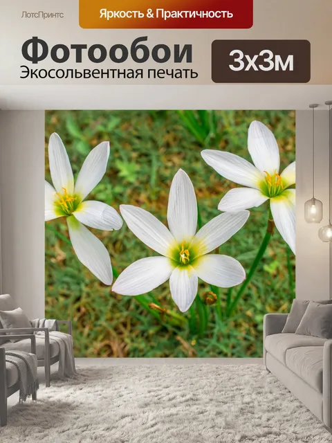 Фотообои Цветы