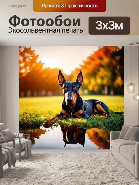 Фотообои доберман, лежащий в траве, выглядит расслабленным и спокойным