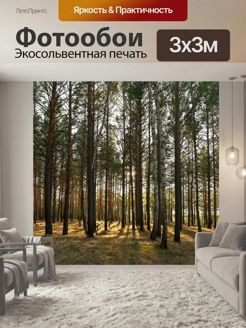 Фотообои Лес